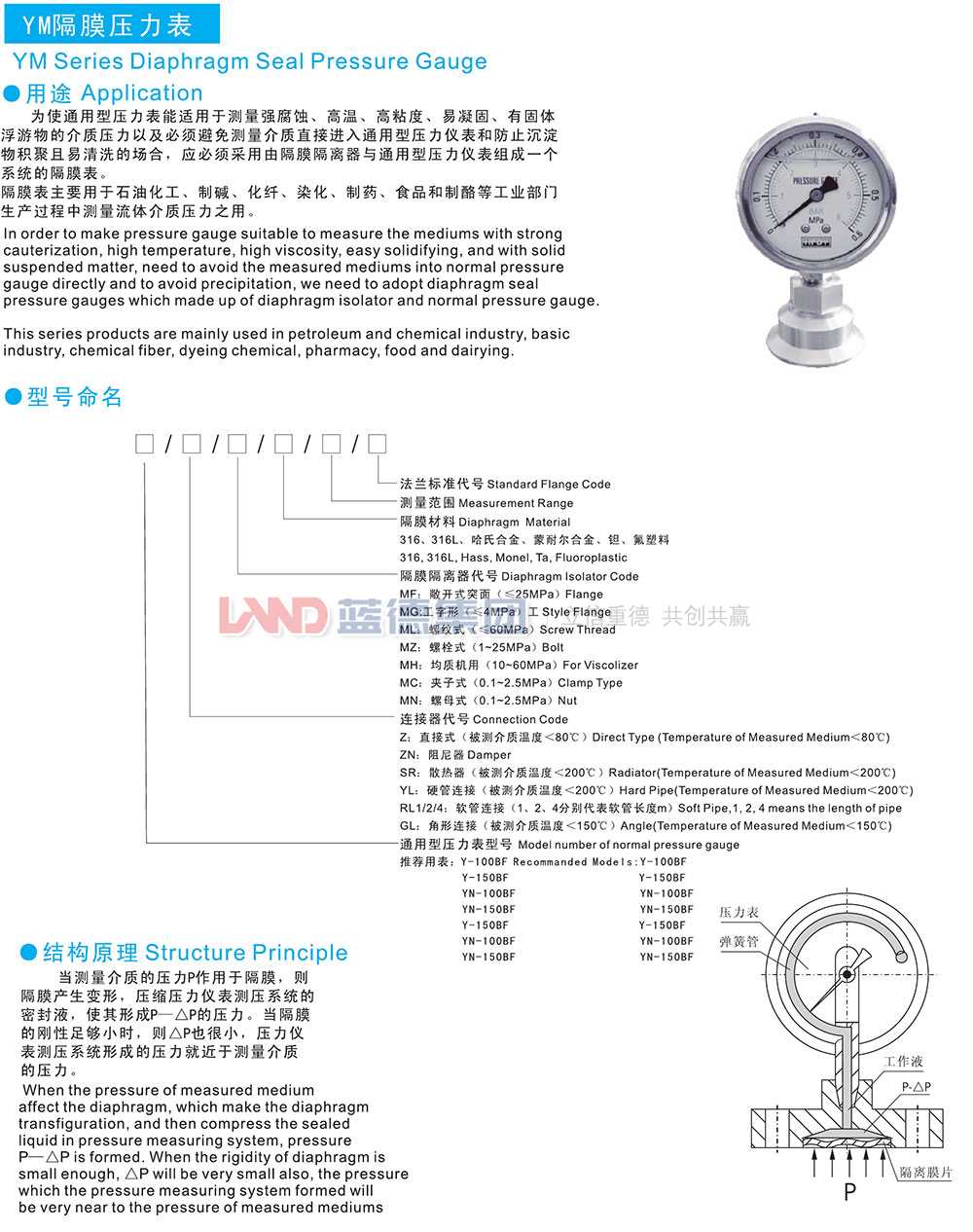 YM隔膜压力表1.jpg